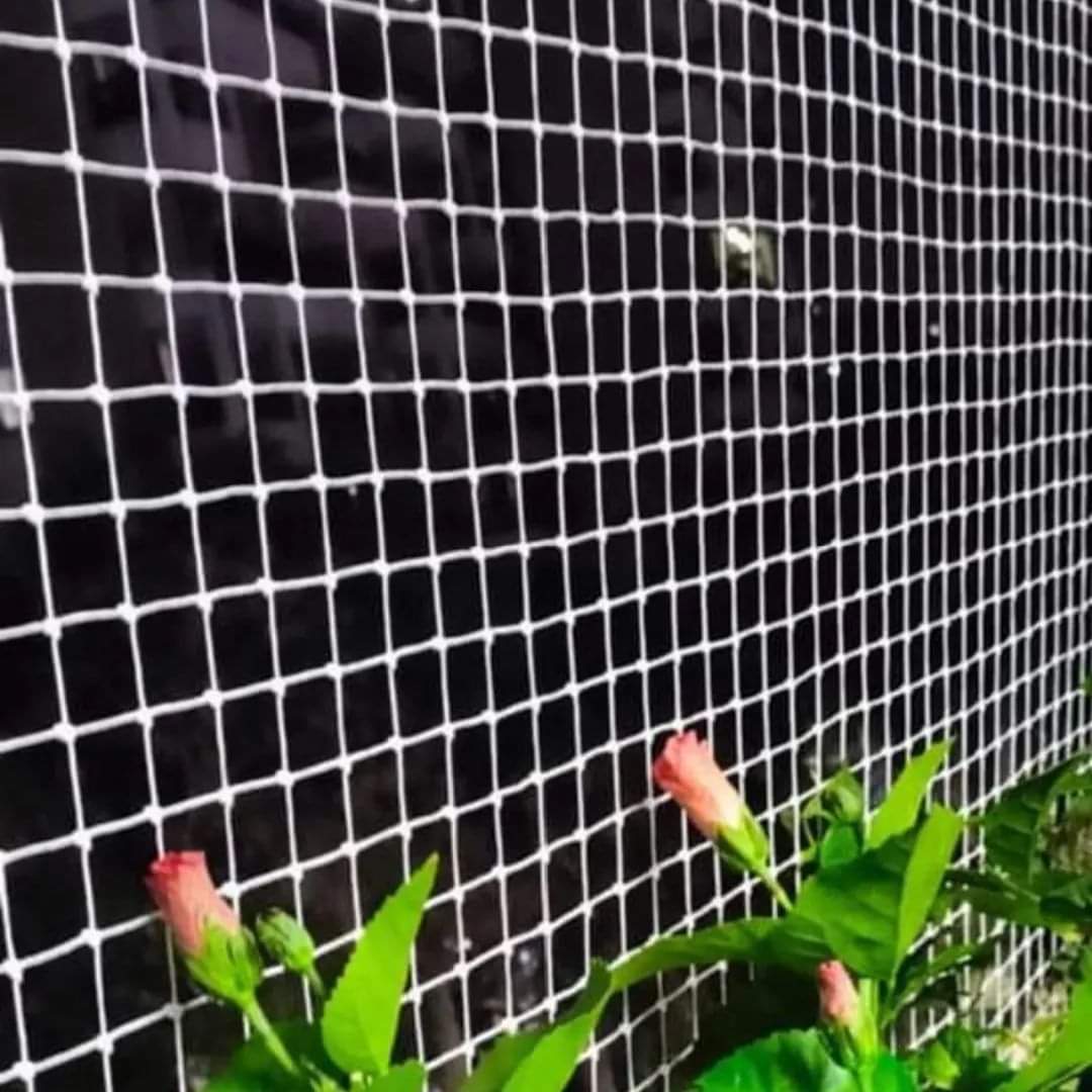 Bird Net Installation